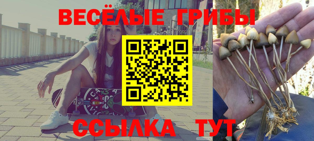 Галлюциногенные грибы MAGIC MUSHROOMS  Вход с VPN  Галлюциногенные грибы мухоморы  Дмитров 